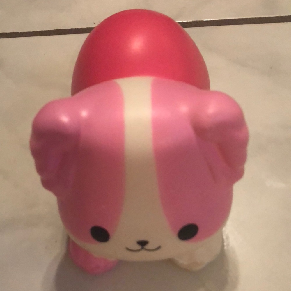 Cute squishy dog